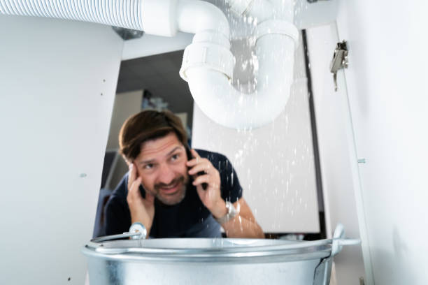 Best Clogged Drain Plumber  in Ripley, OH